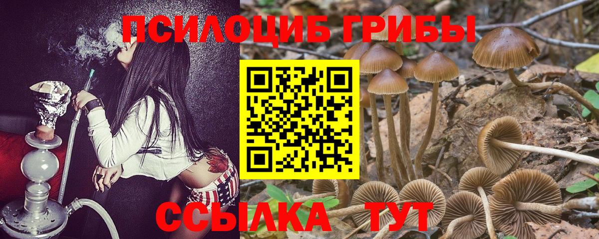 Нефтеюганск  Псилоцибиновые грибы GOLDEN TEACHER  Галлюциногенные грибы ЛСД  Вход с VPN 