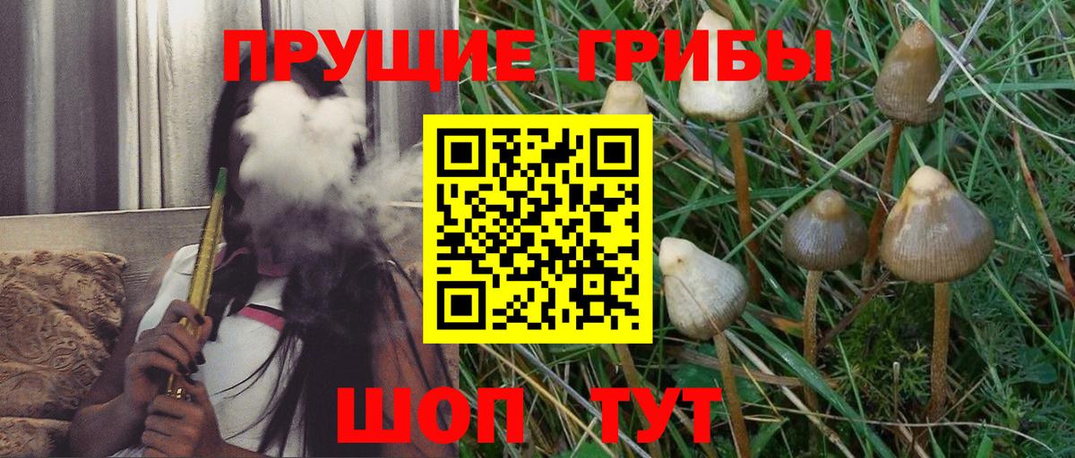 Псилоцибиновые грибы MAGIC MUSHROOMS Нефтеюганск